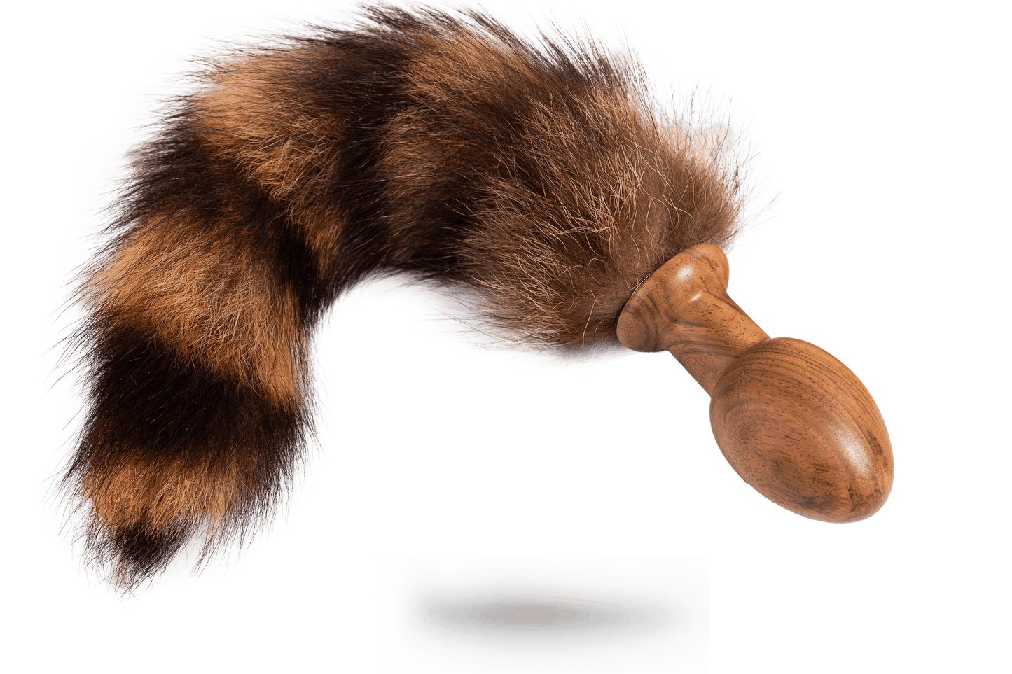 OASCHKATZLSCHWOAF || Waschbär || Anal Plug || Hoamatland Edition - Holz-Knecht
