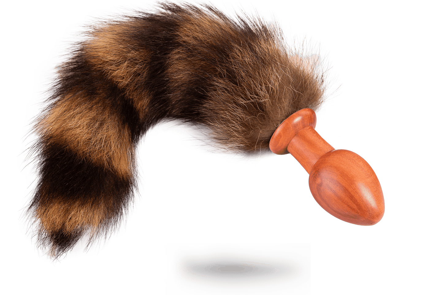 OASCHKATZLSCHWOAF || Waschbär || Anal Plug || Hoamatland Edition - Holz-Knecht
